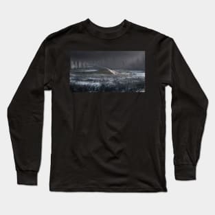 Winter in Central Park Long Sleeve T-Shirt